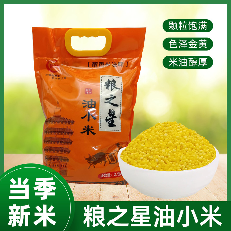 25年新米河南安阳特产粮之星油小米食用五谷杂粮黄小米粮食