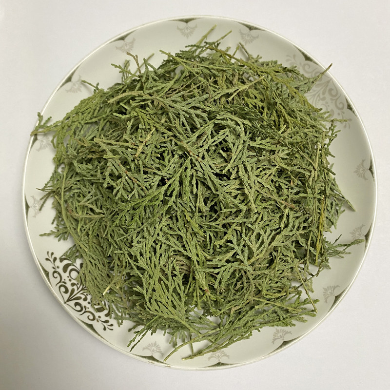 野生干侧柏叶500g  新鲜现采当年新侧柏叶 做洗发水脱白发中药材