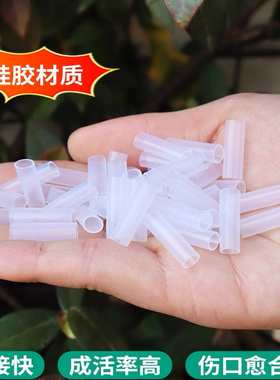 植物嫁接专用套管百香果月季三角梅嫁接枝条斜口连接透明硅胶管