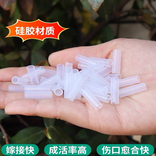 植物嫁接专用套管透明硅胶管