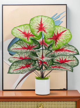 北欧风仿真绿植盆栽彩色绿萝