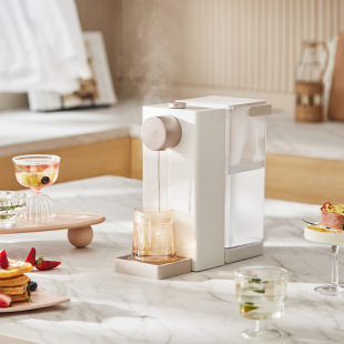 心想抗菌即热饮水机S2305柔雾金家用小型速热饮水器桌面台式