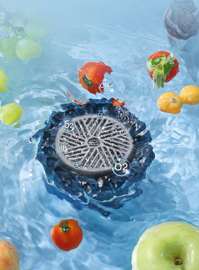 CREATIVECHEF转转果蔬清洗机食材净化器全自动洗菜神器杀菌除农残