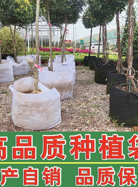 无纺布种植育苗袋子园林营养袋容器绿化加厚苗木植物种树果苗包邮
