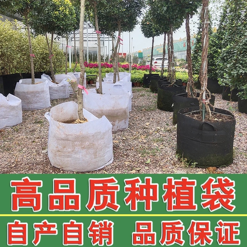 种植园林容器绿化果苗包邮营养袋