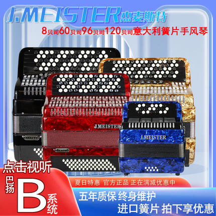 杰麦斯特巴扬手风琴进口簧片6096120贝司儿童成人纽扣键