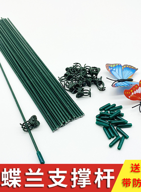 蝴蝶兰花支撑杆园艺绿植盆栽多肉金钱树龟背竹月季花卉固定夹支架