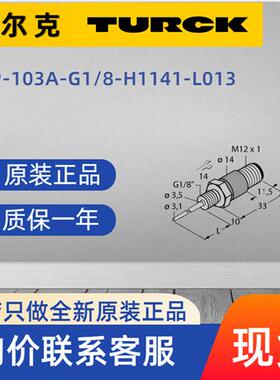 TURCK  温度检测探头  TP-103A-G1/8-H1141-L013