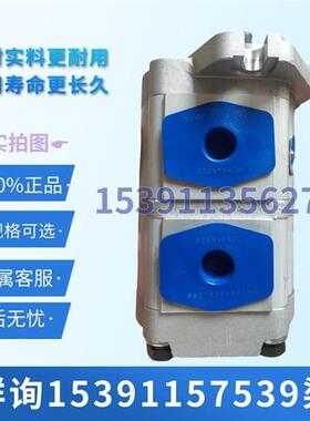 新款合肥皖液CBTLDF-F308/F303-AL4液压齿轮油泵压力双联油现货