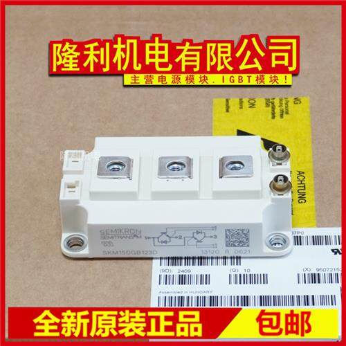 全新SKM150GB123D SKM200GB128DE SKM300GB128D SKM400GB12T4 T4G