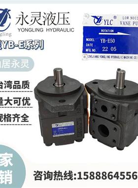 新款YB-E63叶片泵YB-E50/40/32/80/100/125/160/Y现货