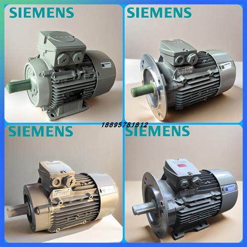 进口电机0.75KW2P立式1LE1003-0DA22-2FA4-Z三相异步电动机