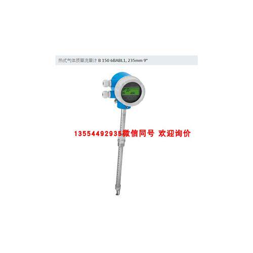 现货 恩德斯豪斯 E+H 电容物位计  FMI51-A1AGEJB1A1AL=650mm