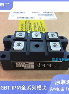 PT508C PT508CF PT5116A PT308C PT308CF PT7616A PT76S16