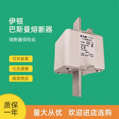 全新快速熔断器保险170M6399 170M6408 170M6409 170M6410