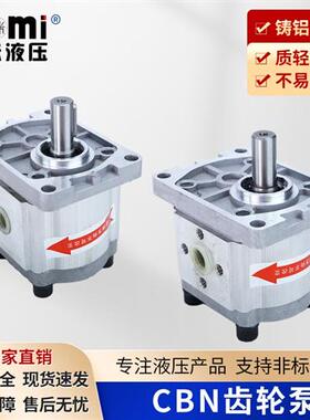 新款液压齿轮泵CBN-E304/306系列CBN-F304/304/306系列小型高现货