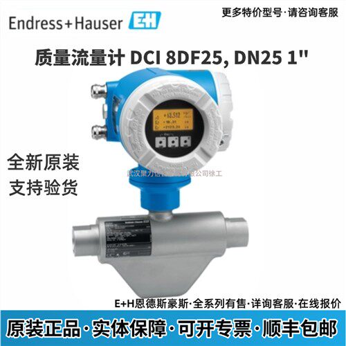 E+H恩德斯豪斯 质量流量计8DF08-AG15AABAAA02