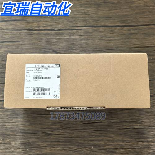 全新原装  FTL31-11V0/0 音叉液位 FTL31-AA4U3BAWSJ