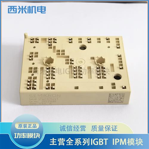 SKIIP37AC12T4V1 SKIIP39AC12T4V1 SKIIP38AC126V2 IIP39AC12T4V3