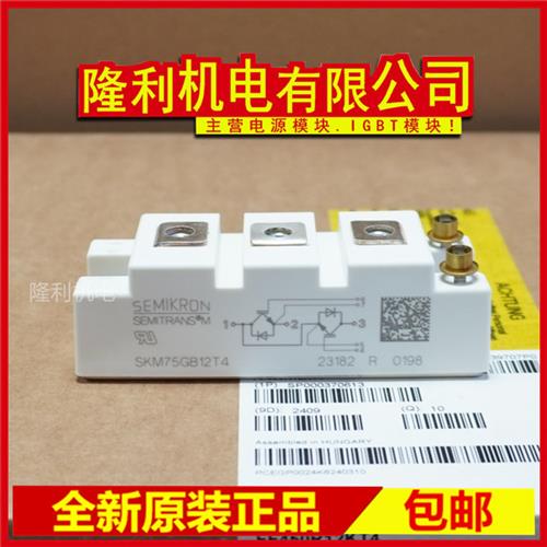 新 SKM100GB125DN SKM75GB128DN SKM145GB124DN SKM195GB124DN 50