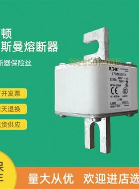 全新快速熔断器保险170M5067 170M5068 170M5108 170M5109