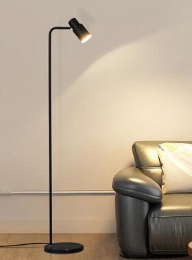 轻奢高级感客厅沙发旁边书房读书落地灯简约床头卧室钓鱼立式台灯