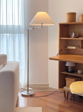 丹麦落地灯ins博主同款现代简约摇臂可调钓鱼灯客厅工作室氛围灯