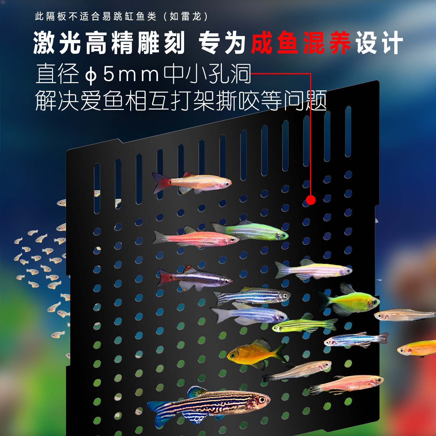 适配小米2Pro鱼缸分隔板鱼苗隔离
