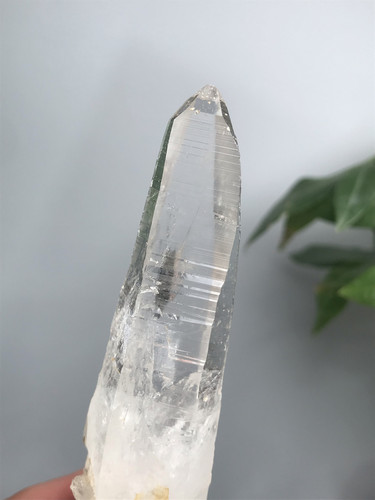20260082哥伦比亚的利姆利亚，纯净度高，尺寸：83/23mm（38.5）