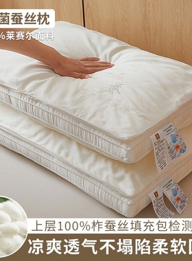 酒店正品A类母婴级100%蚕丝枕绣花柞蚕丝桑蚕丝双层立体枕头枕芯