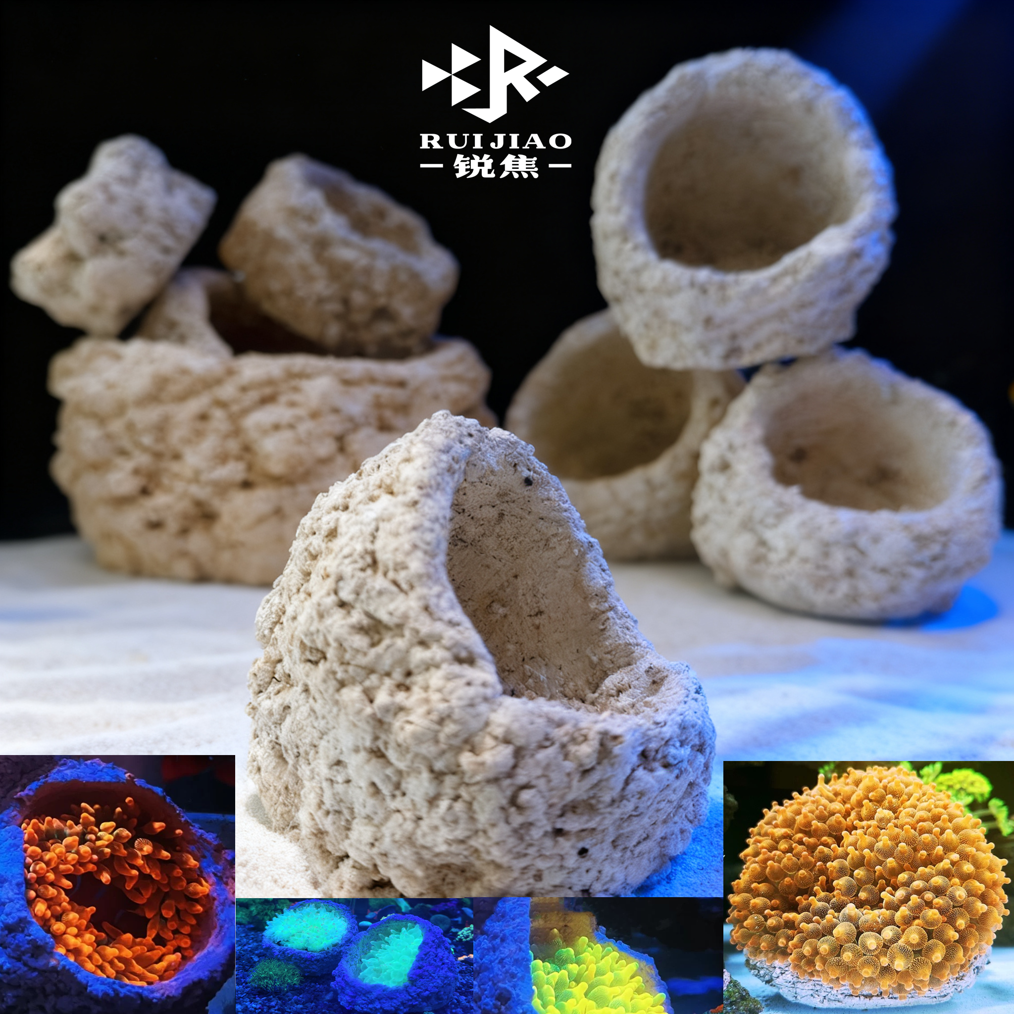 奶嘴窝海缸葵地毯透水陪菌石葵巢穴免爆藻罐珊瑚陶瓷培菌造景