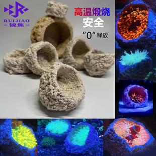 奶嘴海葵山窝珊瑚防跑躲避罐支架基座爪哇基拉戈干岩石造景