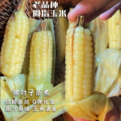 西双版纳带皮带壳拇指香糯小玉米迷你款打火机大小