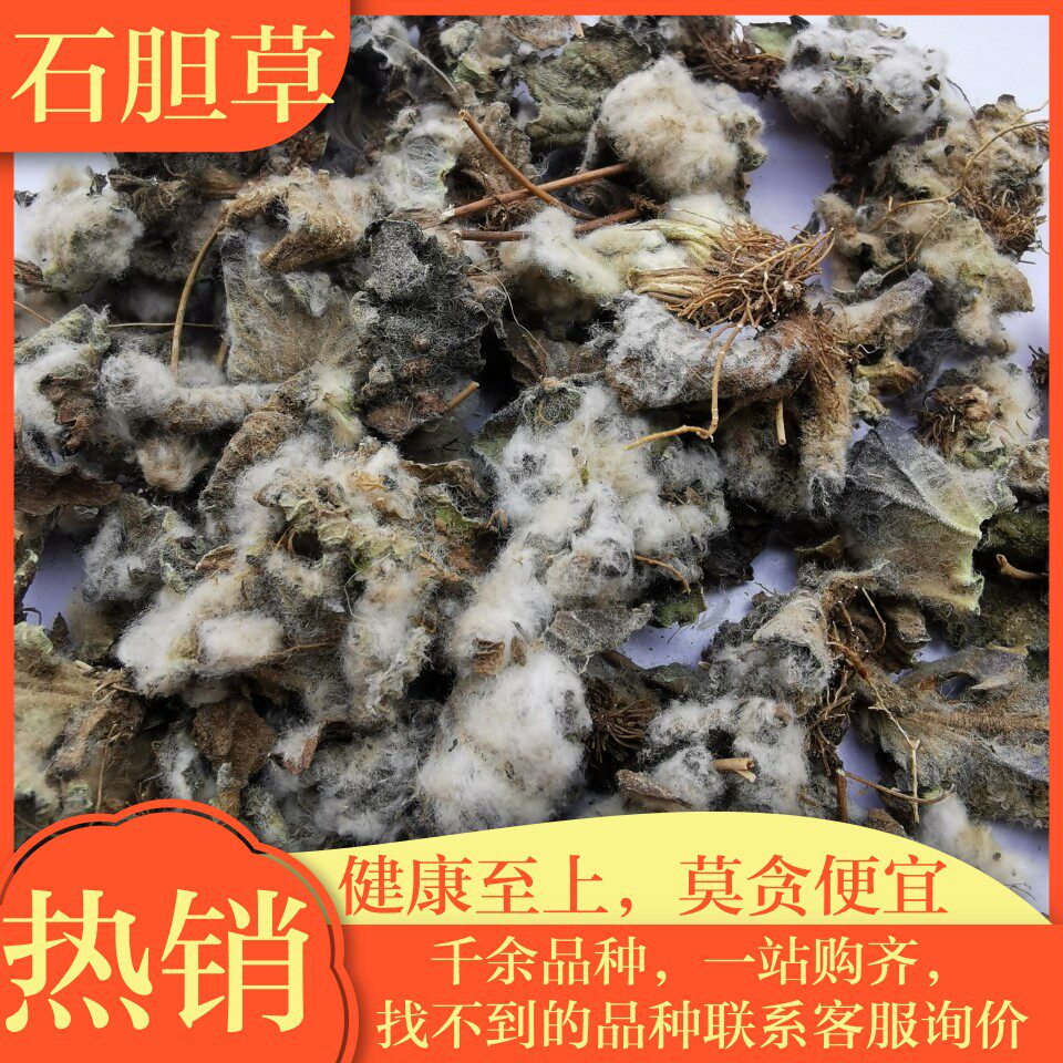 石胆草中药材生扯拢 石花 岩指甲 镇心草 石荷叶 石蝴蝶 石莲花