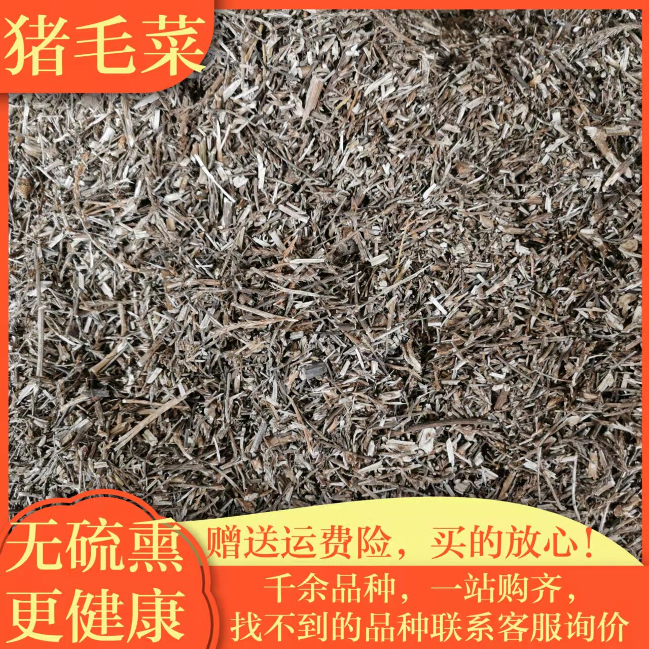 猪毛菜中药材500g包邮蓬子菜精选猪毛缨蒿新货扎蓬棵子正品三叉明
