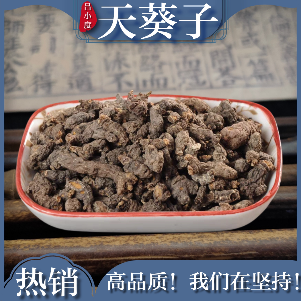 天葵子中药材紫背天葵子新鲜干货非野生金耗子屎天去子千年老鼠屎