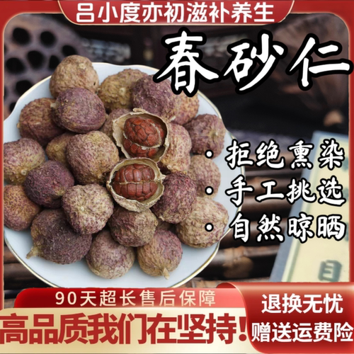 春砂仁中药材饮香料片沙仁果毛砂仁西砂仁新鲜干货非野生香砂仁茶