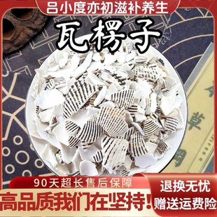 瓦楞子大片水洗中药材打粉新鲜干货非野生瓦楞子饮瓦楞壳片毛蚶壳