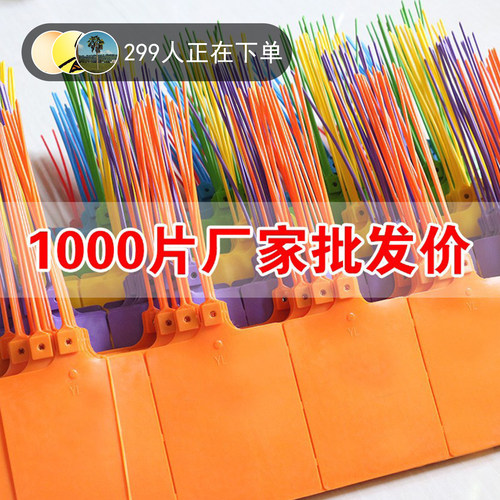 一体式挂签物流快递运塑料吊牌