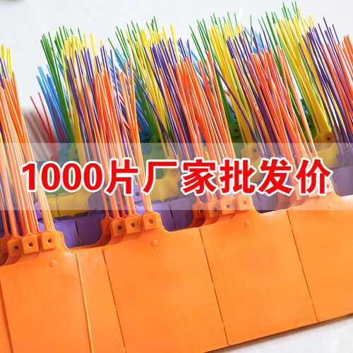 一体式挂签物流快递运塑料吊牌