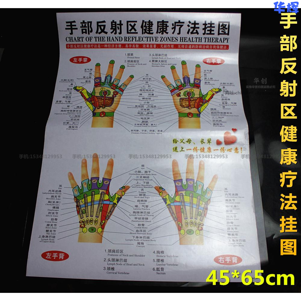 手部反射区挂图健康疗法手掌手背穴位挂图刮痧按摩全息图防水定图