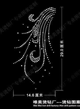 烫钻图案定制舞蹈服装饰