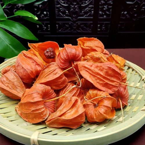 25年新红姑娘干皮干果锦灯笼菇娘