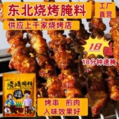 东北烧烤调料羊肉串烤肉猪牛肉腌料商用户外家用腌肉正宗专用袋装