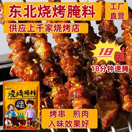 东北烧烤调料羊肉串烤肉猪牛肉腌料商用户外家用腌肉正宗专用袋装