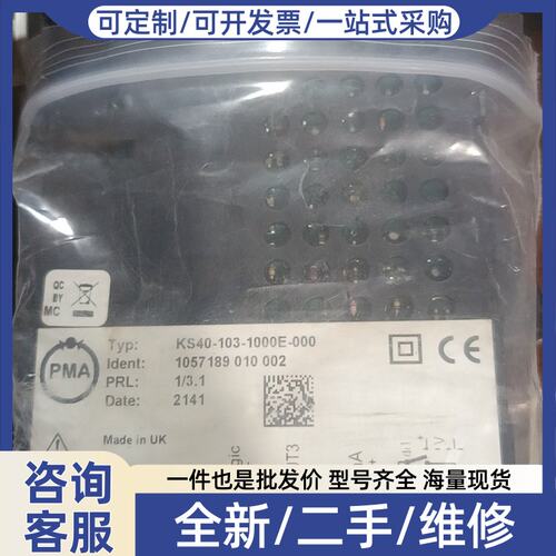 议价比例调节仪KS40-103-1000E-000如图所
