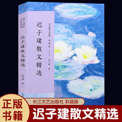 迟子建散文精选 名家散文典藏彩插版 迟子建散文集 高初中考生课外阅读书籍 龙眼与伞/我对黑暗的柔情/落红萧萧为哪般 迟子健的书