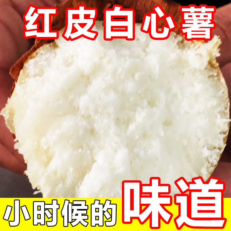 25年新鲜白心板栗老品种当季番薯地瓜山芋红薯现挖现发粉糯香甜