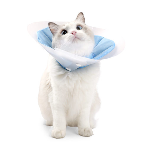 Deformablecatposivnkg