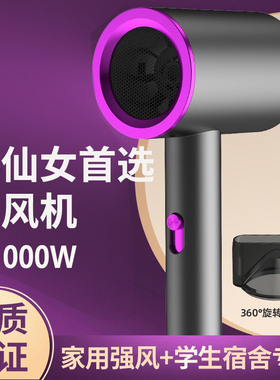 Hair Dryer Electric Blower学生宿舍家用负离子大功率电吹风机筒
